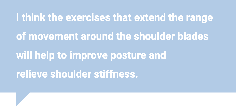 I think the exercises that extend the range of movement around the shoulder blades will help to improve posture and relieve shoulder stiffness.
