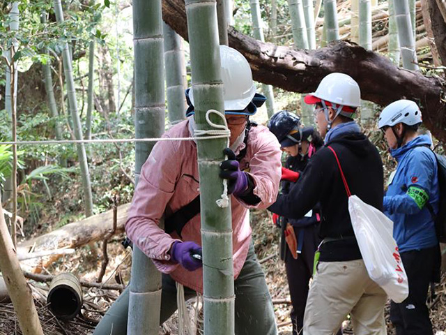 Bamboo thinning in the satoyama area within the premises of the Hamana Lake Marina
