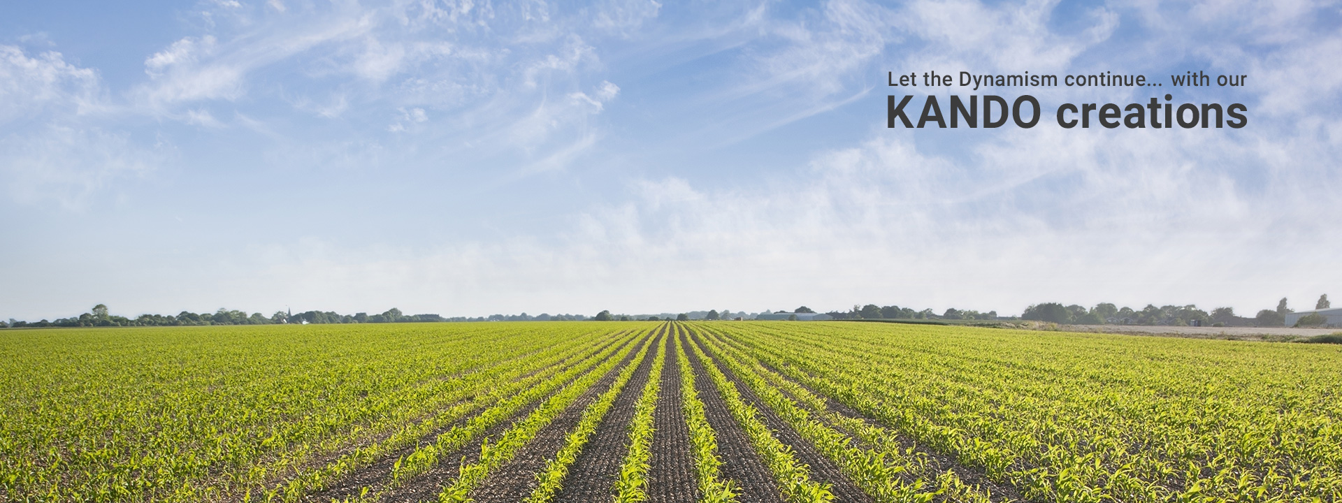 Let the Dynamism continue... with our KANDO creations - A vast field covered with green crops stretching into the distance