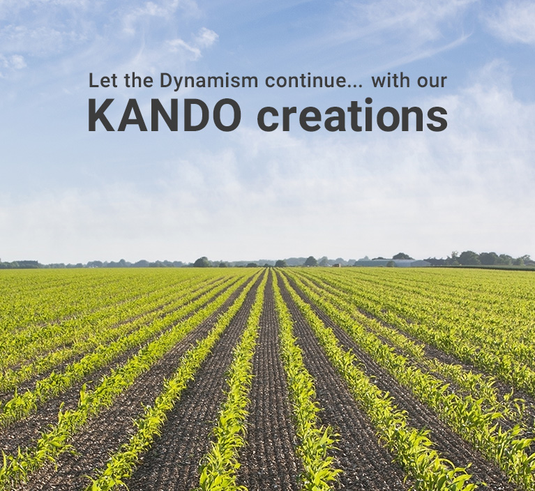 Let the Dynamism continue... with our KANDO creations - A vast field covered with green crops stretching into the distance
