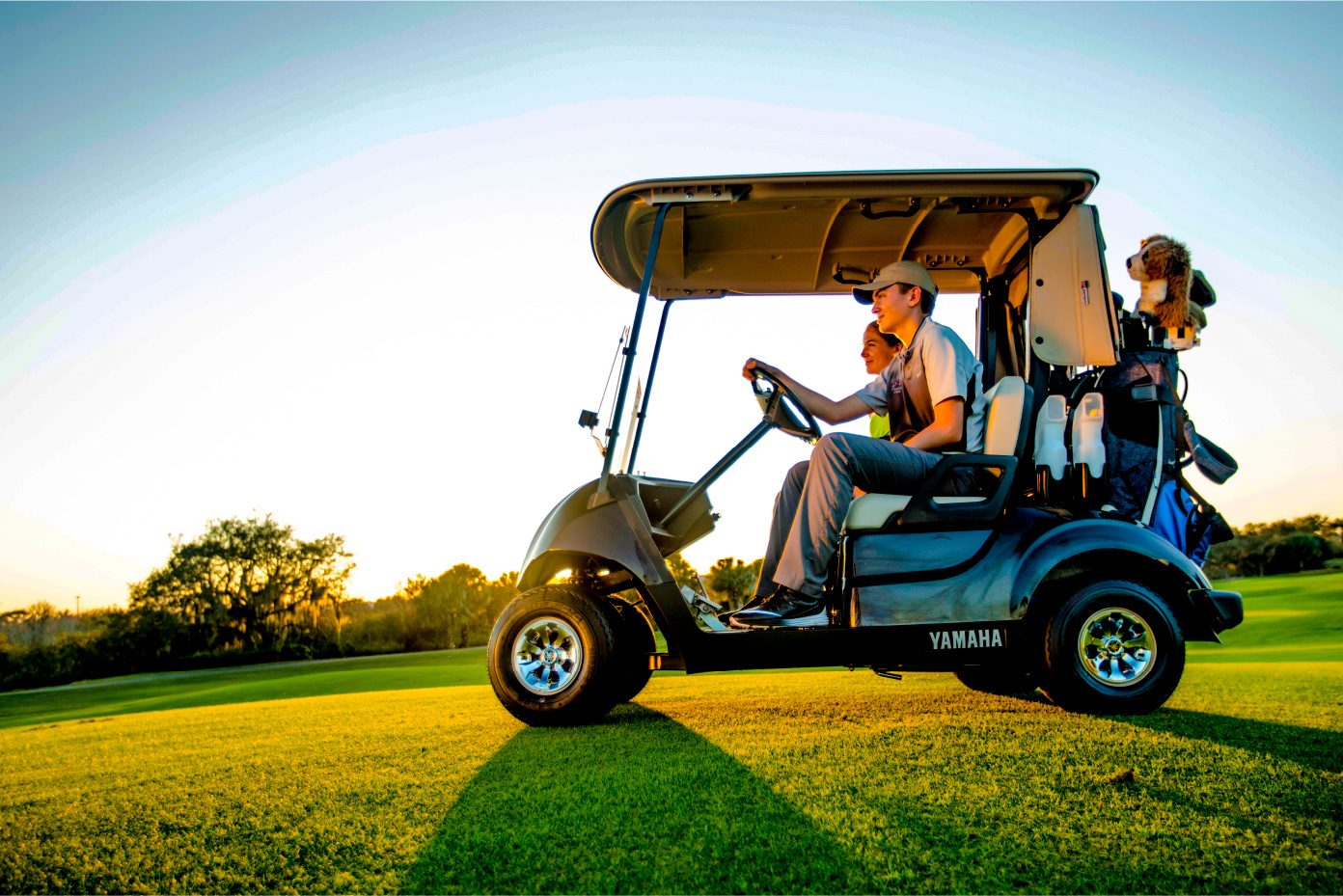 2-seater - Golfcar/resort/utility