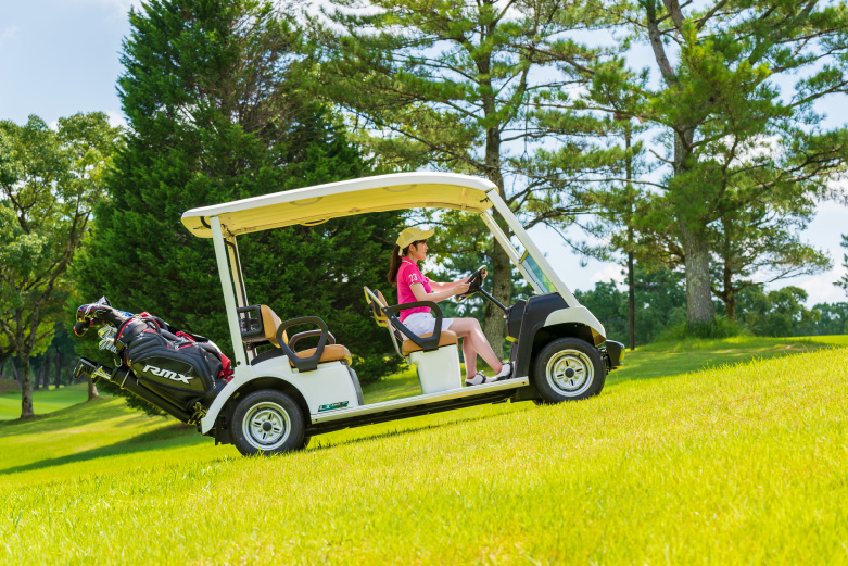 5-seater - Golfcar/resort/utility