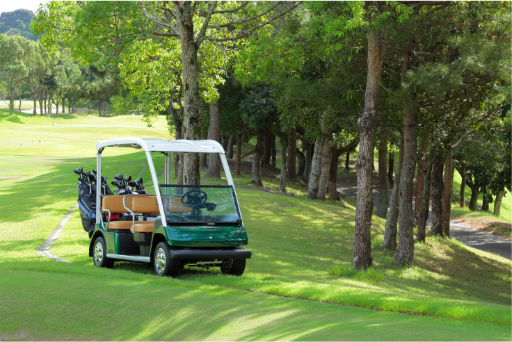 Introducing electromagnetic induction golf cars