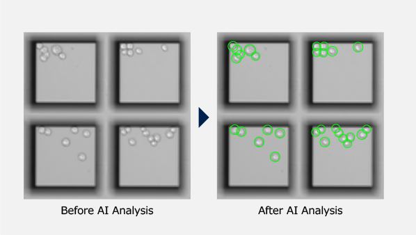 Before and after AI analysis