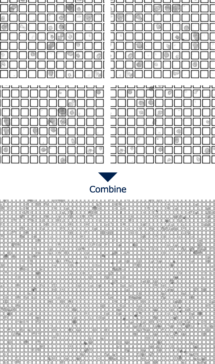 High-resolution tiling imaging