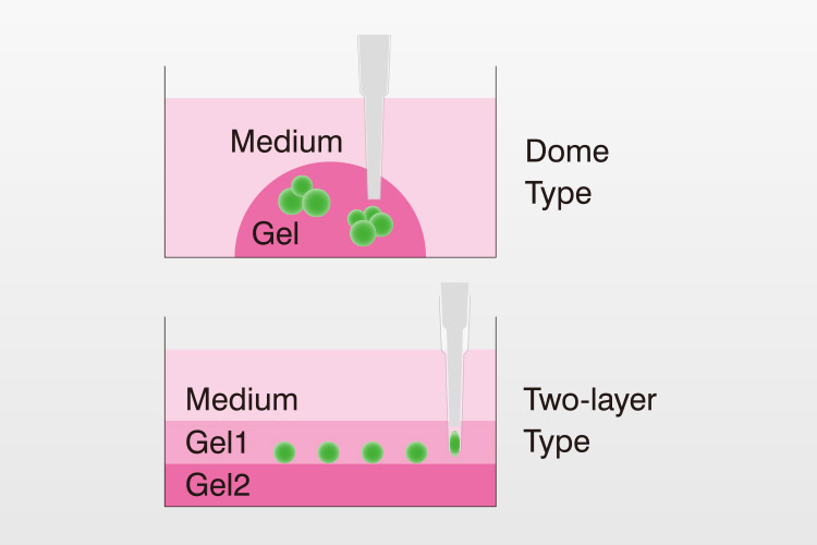 Gel Picking