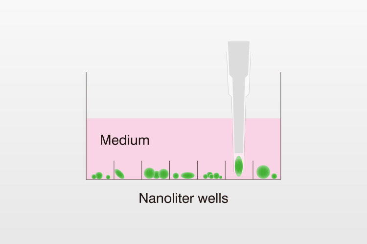 Highly Efficient Picking of Suspended Cells