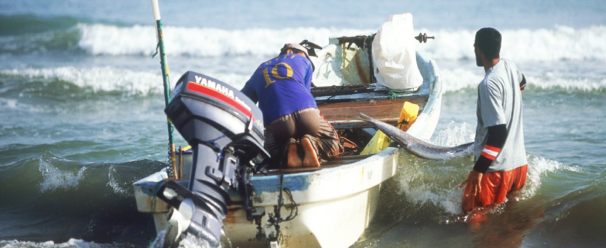 Fisheries industry modernization