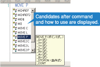 Program input support function