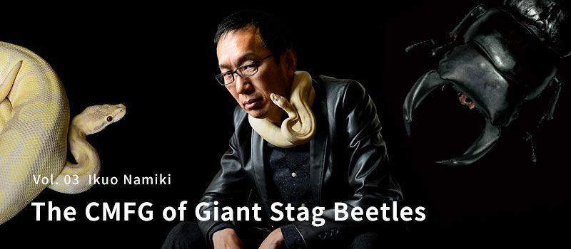 Vol. 03 Ikuo Namiki The CMFG of Giant Stag Beetles