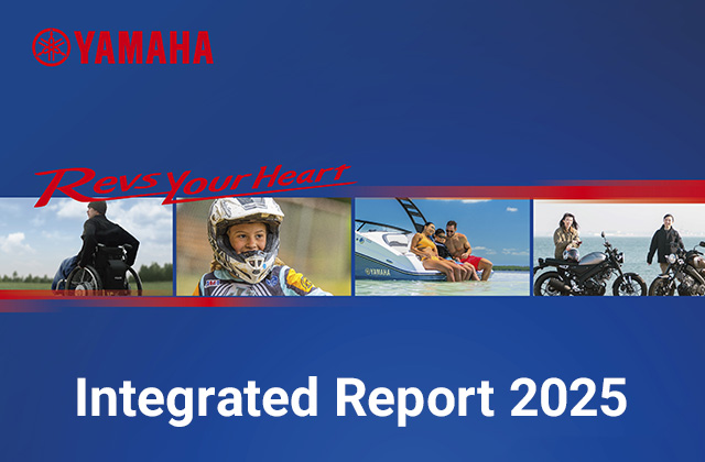 Integrated Report 2025