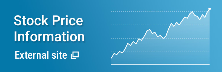 Stock Information (External Site) 