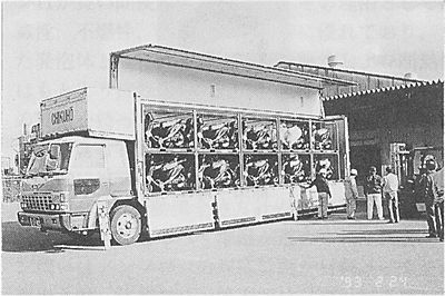 技報No.17 技術紹介1 説明画像