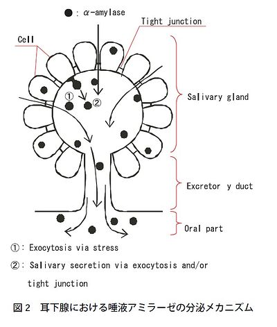 技報No.33 技術論文5 説明画像