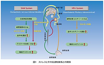 技報No.39 特集4 説明画像