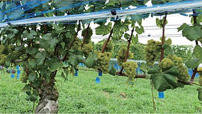 技報No.58 技術論文3 説明画像