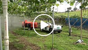 事例1 「農薬散布_ 山梨シャインマスカット」（MP4:91.8MB）