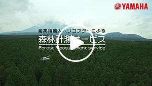 森林計測動画（MP4:73.4MB）
