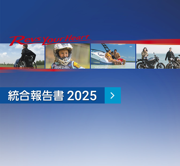 統合報告書2025