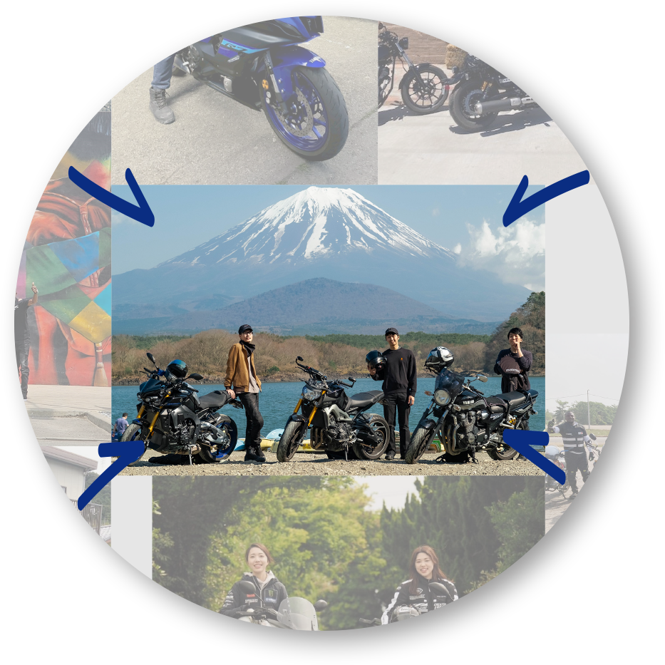 フィールドにマッピングされた写真