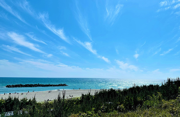 防潮堤からの海