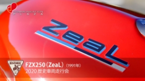 FZX250