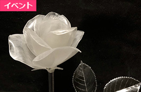 4月25日(土) 「ペットボトルアート教室」のご案内