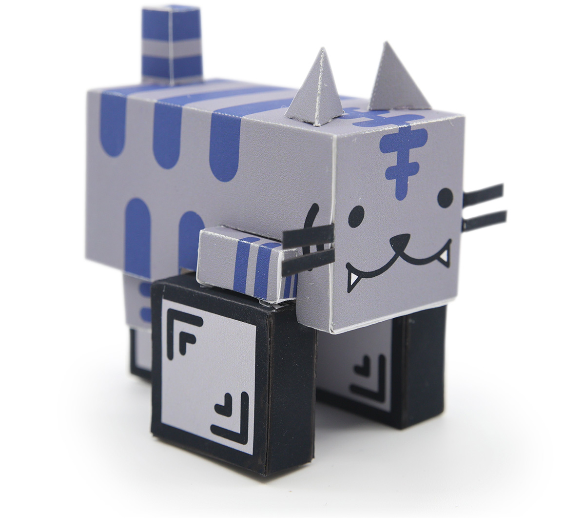 Boxニャイケン写真