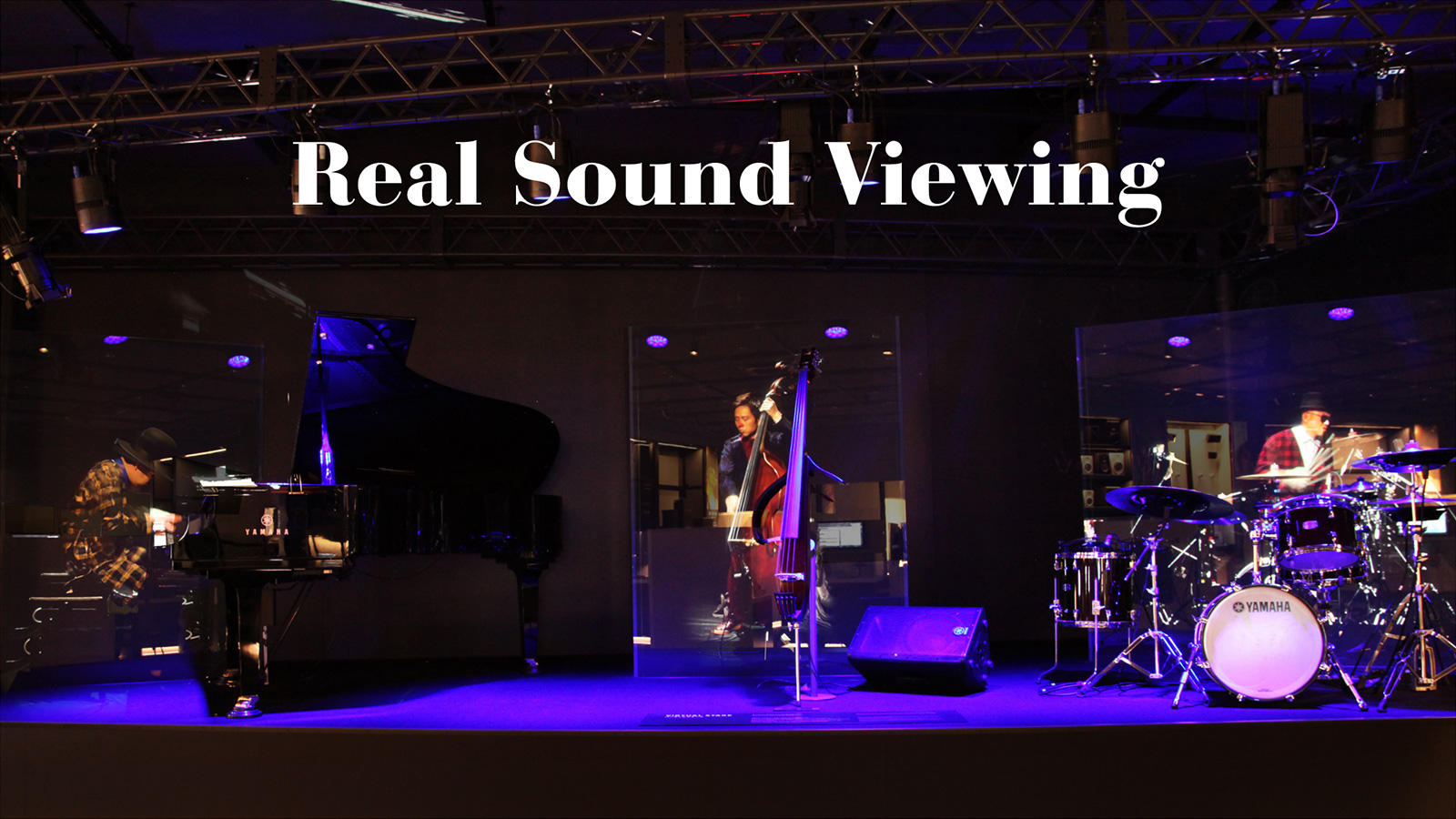 Real Sound Viewing