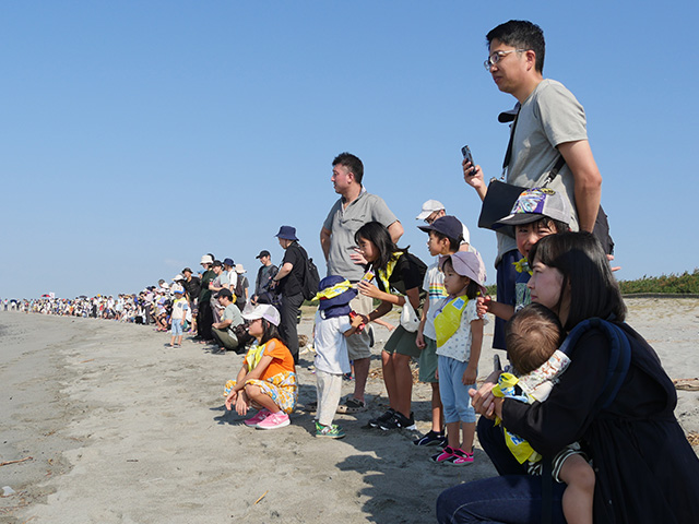 浜松市の遠州灘の海岸にて子ガメを放流して見守っている様子