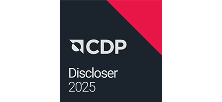 CDP 2025