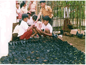 Children learning about cultivating seedlings