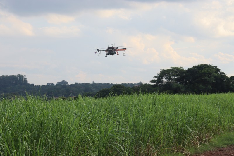 ARPAC drone spraying pesticides on sugar cane fields