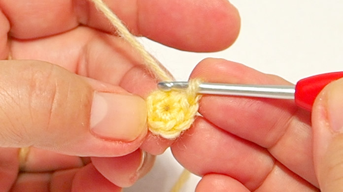 Insert the hook into the first stitch of the single crochet.