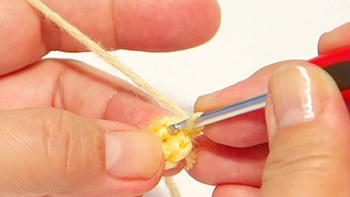 Insert the crochet hook into the 1st stitch of the 1st row.