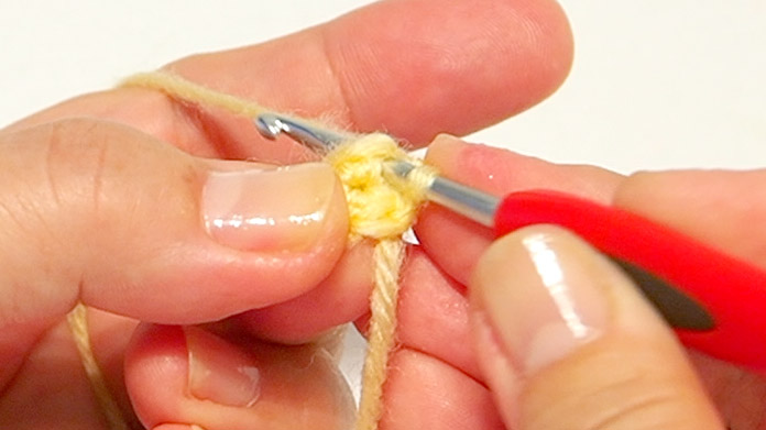 Insert the crochet hook into the 1st stitch again and knit in single crochet.