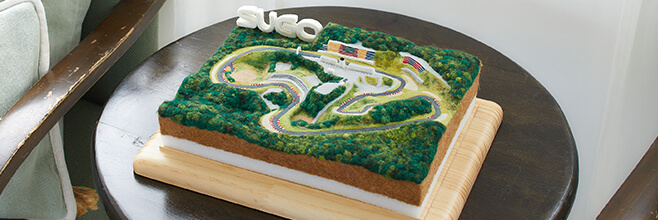 Sportsland SUGO international racing course by needle felting