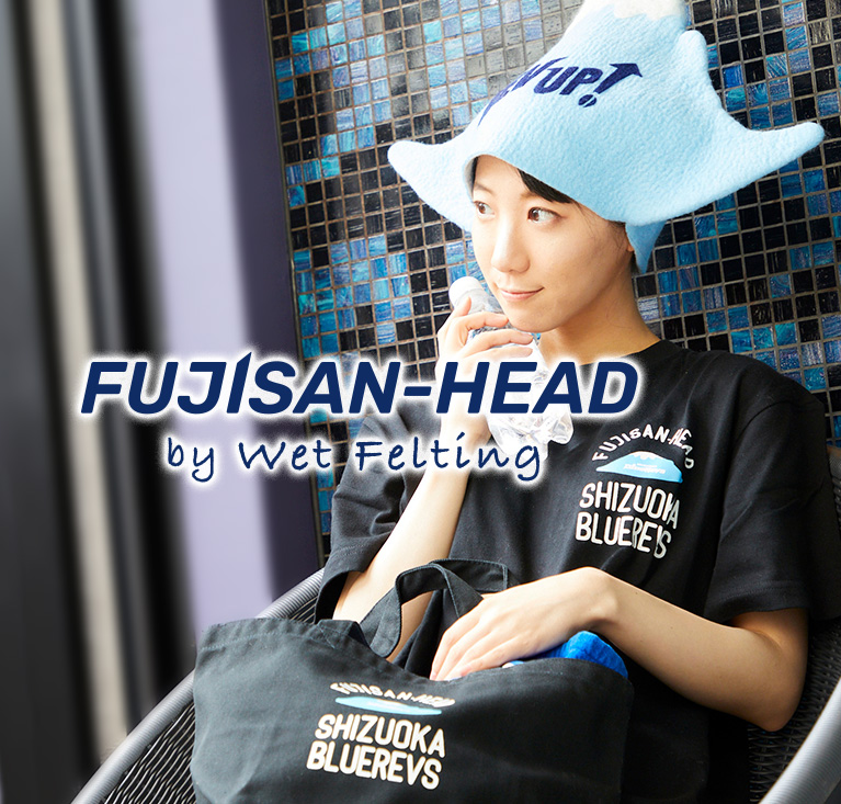 FUJISAN HEAD by Wet Felting