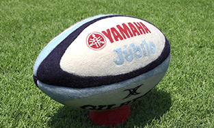 Rugby ball by Needle Felting
