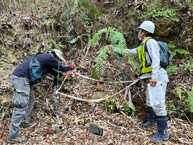 Observing naturally growing plants at the Kikugawa Test Course