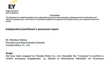 External Assurance